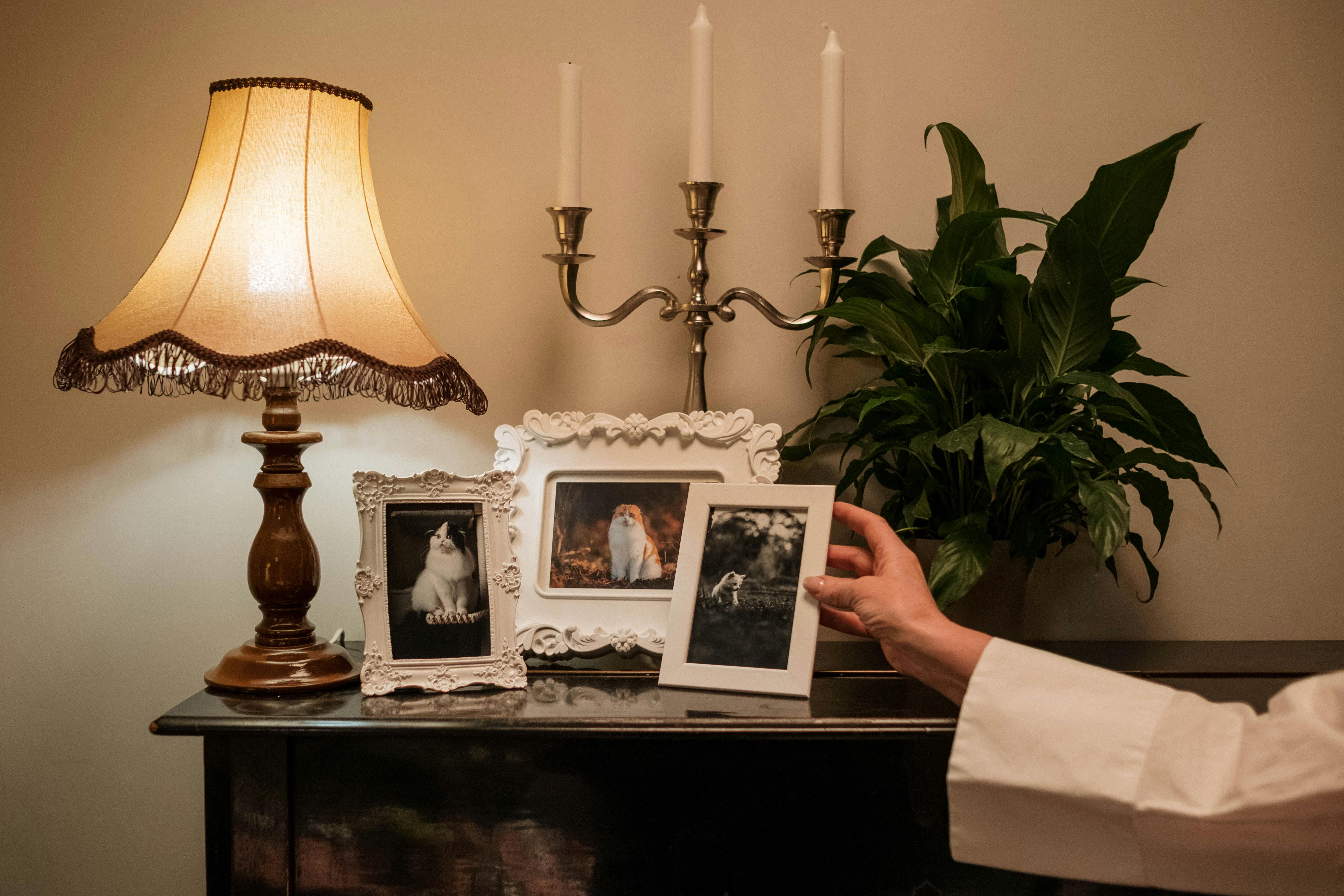 Home Accessories